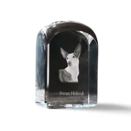 podenco-z-ibizy-podenco-ibicenco-krysztalowa-kostka-ze-zdjeciem-zdjecie