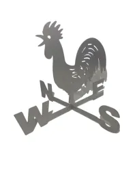 roza-wiatrow-kogut