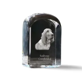redbone-coonhound-krysztalowa-kostka-ze-zdjeciem-zdjecie-psa-w-krysztale