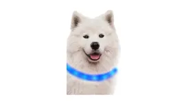 obroza-led-dla-psa-z-mozliwoscia-wielokrotnego-ladowania-usb-niebieska