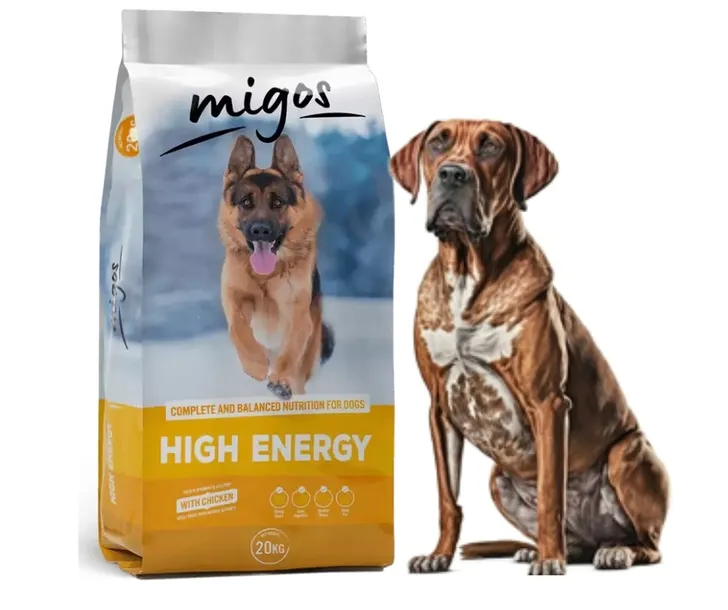 migos-high-energy-20kg-wiek-zwierzecia-psy-dorosle