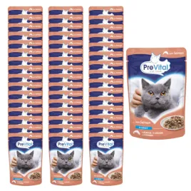 prevital-mokra-karma-dla-kota-losos-w-sosie-48x100g-zestaw