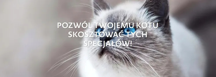 domek-zestaw-pieknosci-mix