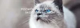 domek-zestaw-pieknosci-mix