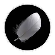 olivia-garden-fingerbrush-medium-ionic-black-kolor-wielokolorowy-stan-nowy