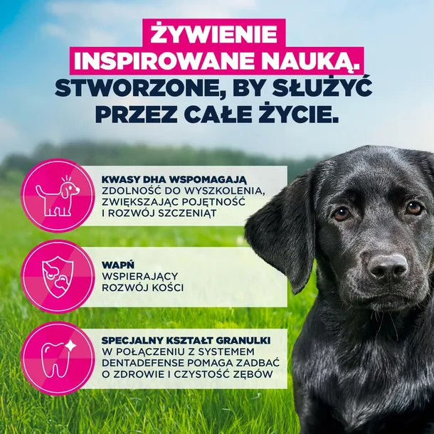 eukanuba-junior-large-15kg