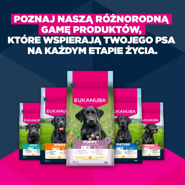 eukanuba-junior-large-15kg