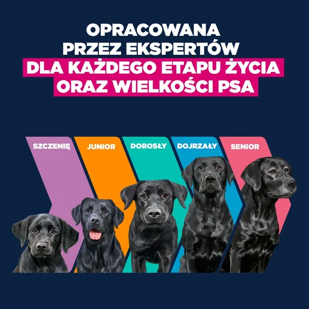 eukanuba-junior-large-15kg