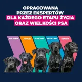 eukanuba-junior-large-15kg