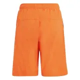 adidas-adventure-shorts-stan-nowy