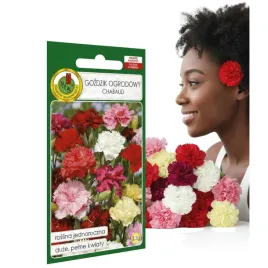gozdzik-ogrodowy-chabaud-mieszany-03g-nasiona-piekne-kwiaty