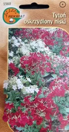 tyton-oskrzydlony-mix-nasiona-rabata-kwiat-ciety