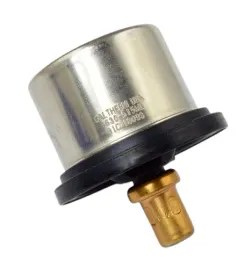 termostat-daf-106xf-euro-6-91-stopni