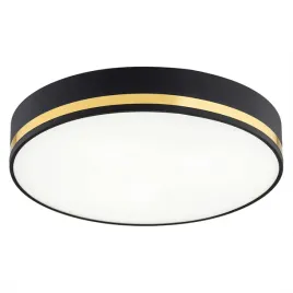 plafon-2-pl-sredni-amore-7041-argon