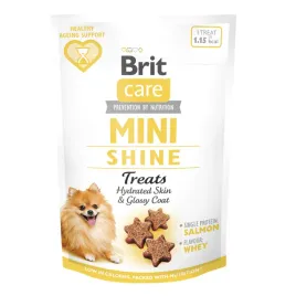 brit-care-dog-mini-snacks-shine-skora-i-siersc-losos-50g