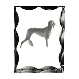 chart-perski-saluki-i-krysztal-ze-zdjeciem-psa-szklana-statuetka-ze-zdj