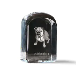 buldog-angielski-bulldog-krysztalowa-kostka-ze-zdjeciem-zdjecie-psa-w-k