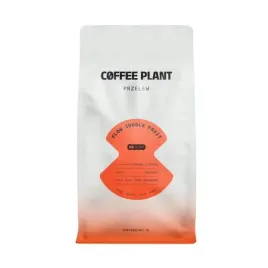coffee-plant-flow-jungle-fruit-filter-800g