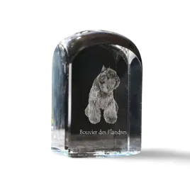 bouvier-des-flandres-krysztalowa-kostka-ze-zdjeciem-zdjecie-psa-w-kryszt
