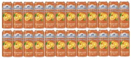 sanbenedetto-aranciata-napoj-gazowany-pomaranczowy-330-ml-x-24szt