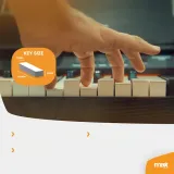 pianino-cyfrowe-dynamiczne-rhapsodydp88p-max