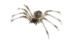 szkielet-pajaka-35-x-85-cm-halloweenowy-halloween-bialy-z-krwia-pajaczek