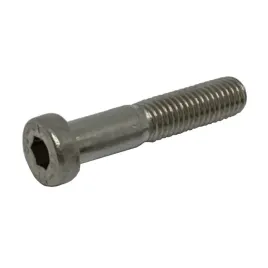 sruba-imbus-niska-din-7984-m6x30-a2-npgw-250szt
