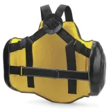 everlast-pas-trenera-pro-stan-nowy