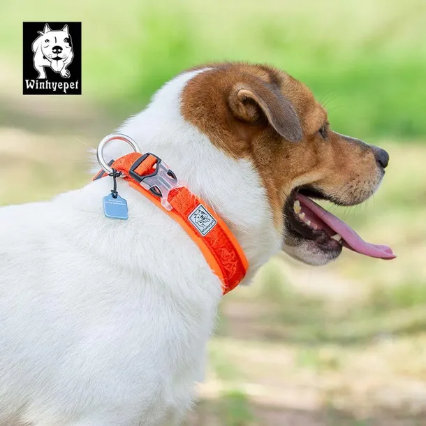 obroza-dla-psa-winhyepet-classic-kolor-odcienie-pomaranczowego-rozmiar-xxl