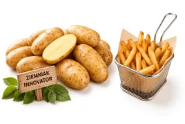ziemniaki-na-frytki-innovator-1-kg-swieze-myte-nie-trzeba-obierac-specjalne