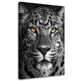 obraz-do-salonu-sypialni-kuchni-biura-jaguar-zwierzeta-natura-czarno-bialy