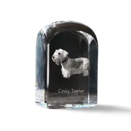 terier-czeski-cesky-terrier-krysztalowa-kostka-ze-zdjeciem-zdjecie-psa