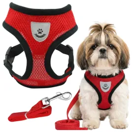 szelki-dla-malego-psa-kota-spacerowe-bezuciskowe-odlaskowe-smycz-zestaw-s