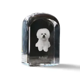 bichon-frise-tenerife-dog-krysztalowa-kostka-ze-zdjeciem-zdjecie-psa-w