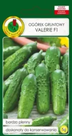 ogorek-gruntowy-konserwowy-valerie-f1-5g-nasiona