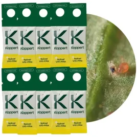 zestaw-dobroczynek-kalifornijski-vegano-10-szt