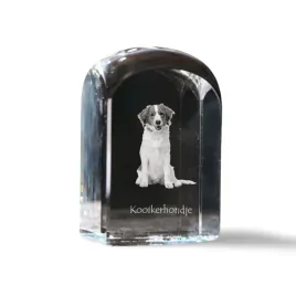 kooikerhondje-krysztalowa-kostka-ze-zdjeciem-zdjecie-psa-w-krysztale-sz