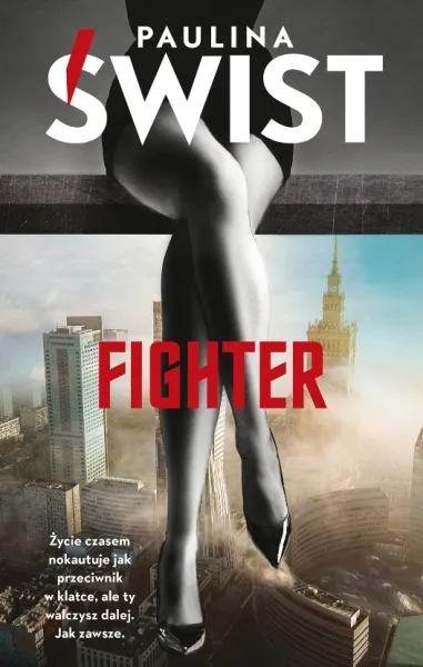fighter