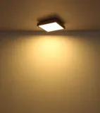 plafon-led-24w-doro-416080wd4-globo-zasilanie-sieciowe