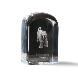 czarny-terier-rosyjski-russian-black-terrier-krysztalowa-kostka-ze-zdjec