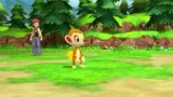 pokemon-shining-pearl-switch