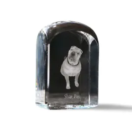 shar-pei-krysztalowa-kostka-ze-zdjeciem-zdjecie-psa-w-krysztale-szescie