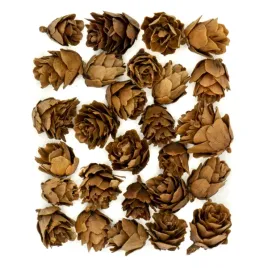 szyszki-dekoracyjne-30g-2-3-cm-szysz-60