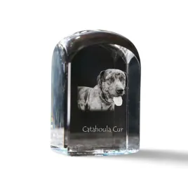 catahoula-leopard-dog-krysztalowa-kostka-ze-zdjeciem-zdjecie-psa-w-krysz