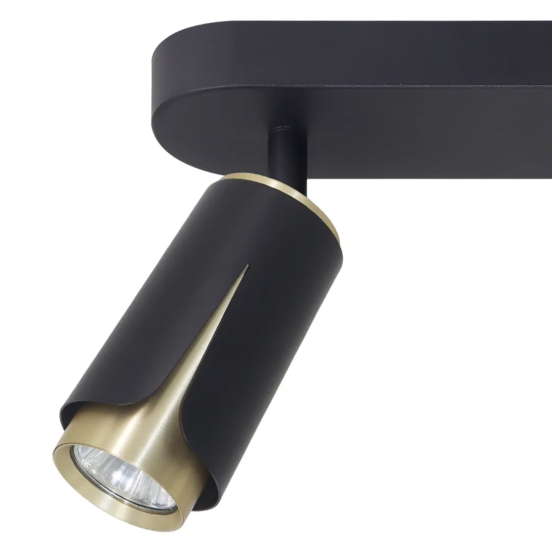 flower-black-gold-spot-2xgu10