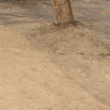 siatka-na-krety-2-m-x-200-m-kolki-100-szt-przeciw-kretom-nornicom-30g-m-kod-produktu-an0001-2xag0042