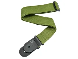 pasek-do-gitary-d-addario-pws107-gr