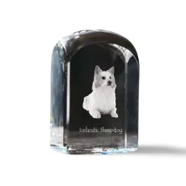 islandzki-szpic-pasterski-krysztalowa-kostka-ze-zdjeciem-zdjecie-psa-w-k