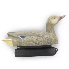 balwanek-kaczki-krzyzowki-15-samica-dzika-knieja