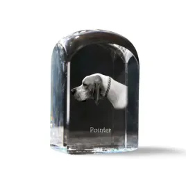 pointer-i-krysztalowa-kostka-ze-zdjeciem-zdjecie-psa-w-krysztale-szesci